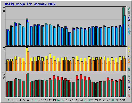 Daily usage for January 2017