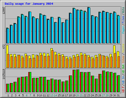 Daily usage for January 2024