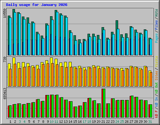 Daily usage for January 2026