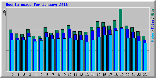 Hourly usage for January 2016