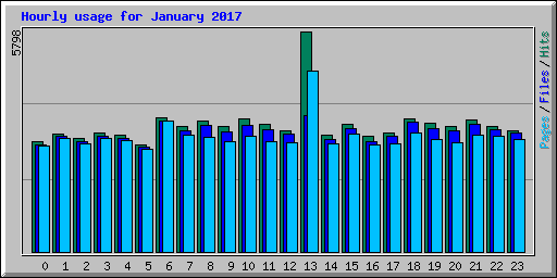 Hourly usage for January 2017