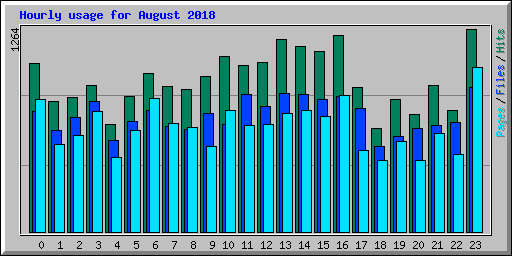 Hourly usage for August 2018