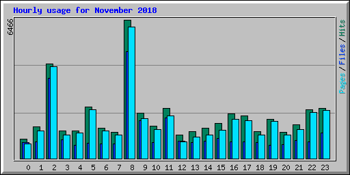 Hourly usage for November 2018