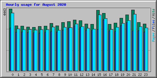 Hourly usage for August 2020