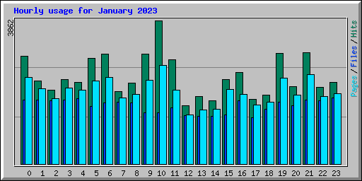 Hourly usage for January 2023