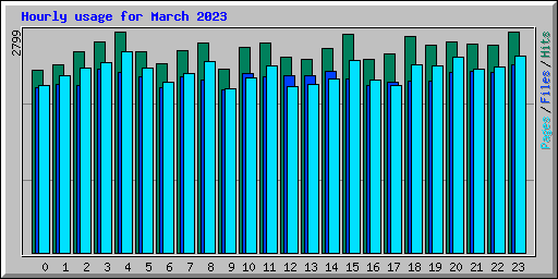 Hourly usage for March 2023