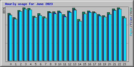 Hourly usage for June 2023