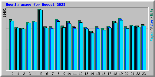 Hourly usage for August 2023