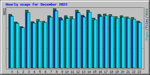 Hourly usage for December 2023