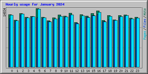 Hourly usage for January 2024