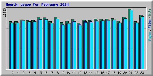 Hourly usage for February 2024