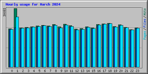 Hourly usage for March 2024