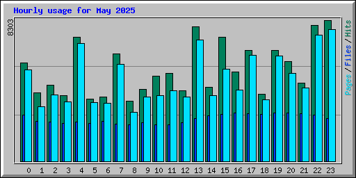 Hourly usage for May 2025