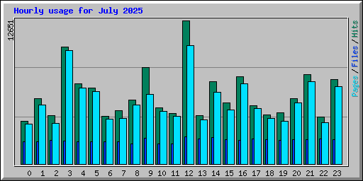 Hourly usage for July 2025