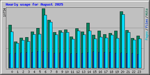 Hourly usage for August 2025
