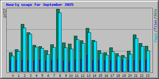 Hourly usage for September 2025