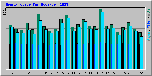 Hourly usage for November 2025
