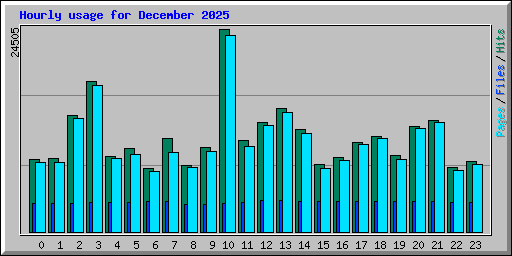 Hourly usage for December 2025