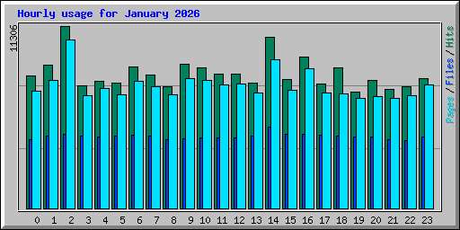 Hourly usage for January 2026