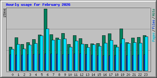 Hourly usage for February 2026