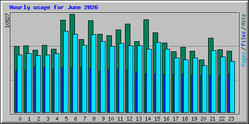 Hourly usage for June 2026
