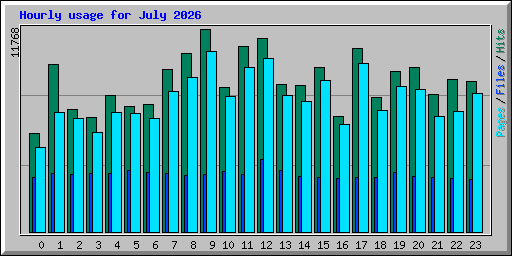 Hourly usage for July 2026