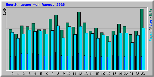 Hourly usage for August 2026